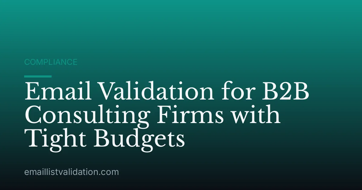 Email Validation for B2B Consulting Firms with Tight Budgets