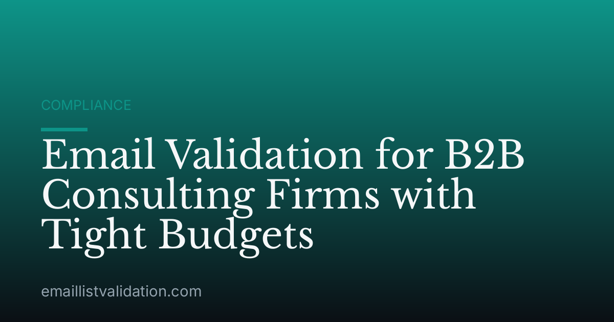 Email Validation for B2B Consulting Firms with Tight Budgets