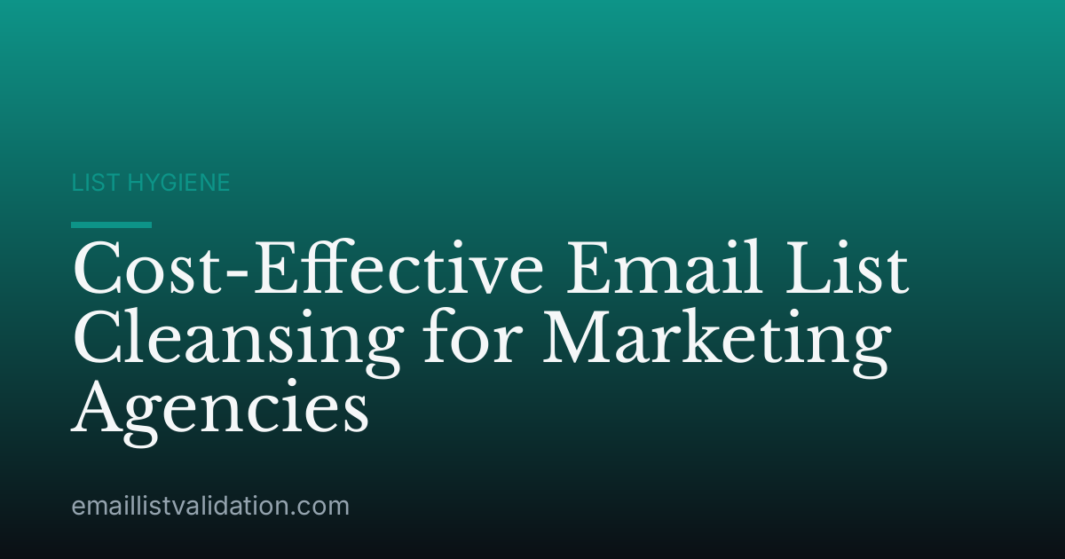 Cost-Effective Email List Cleansing for Marketing Agencies