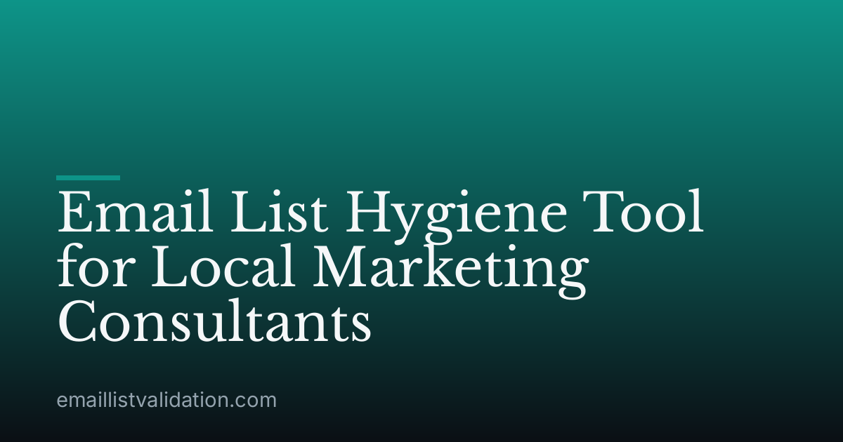 Email List Hygiene Tool for Local Marketing Consultants