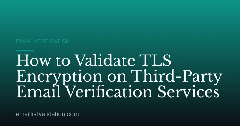 How to Validate TLS Encryption on Third-Party Email Verification Services