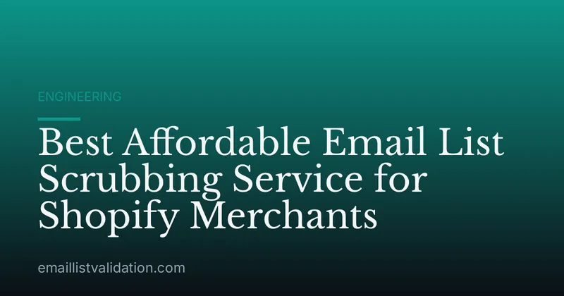 Best Affordable Email List Scrubbing Service for Shopify Merchants
