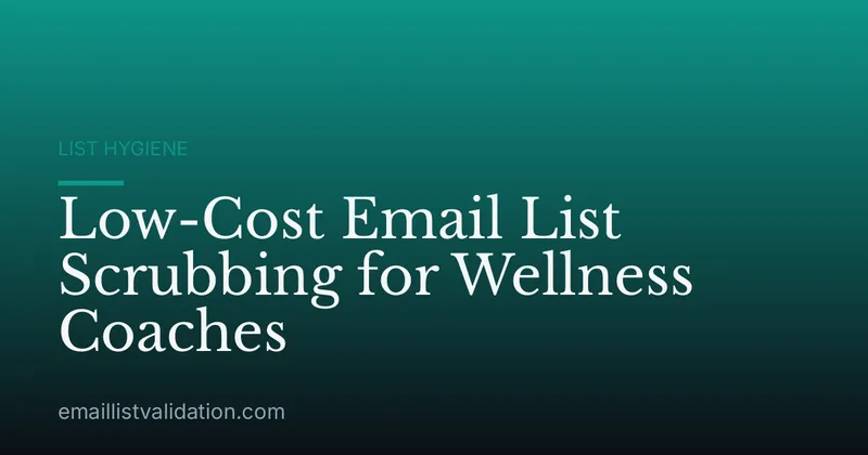Low-Cost Email List Scrubbing for Wellness Coaches