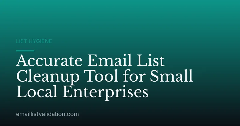 Accurate Email List Cleanup Tool for Small Local Enterprises