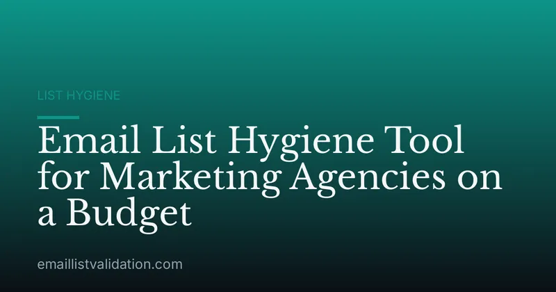 Email List Hygiene Tool for Marketing Agencies on a Budget