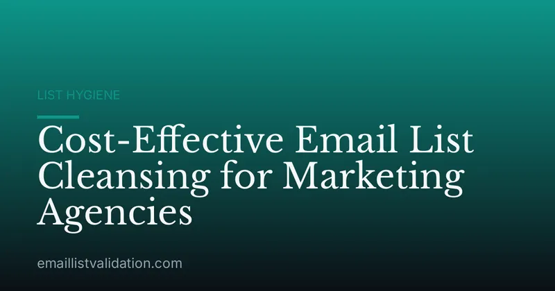 Cost-Effective Email List Cleansing for Marketing Agencies
