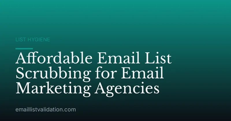 Affordable Email List Scrubbing for Email Marketing Agencies