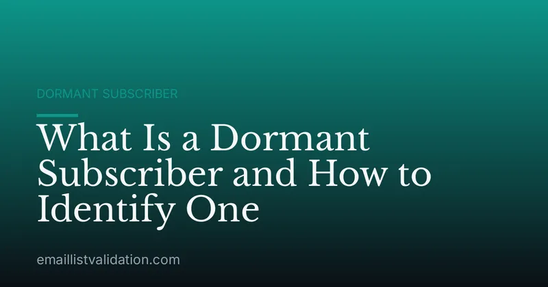 What Is a Dormant Subscriber and How to Identify One