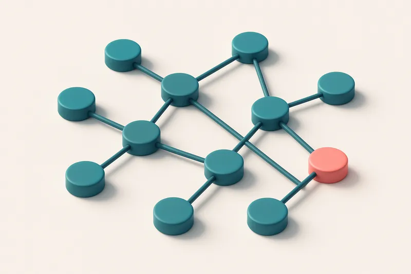 a network of small circular nodes connected by lines